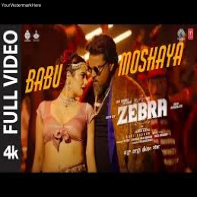 Zebra Babu Moshaya Full Video - SANTHOSH VENKY SANGEETHA RAVINDRA